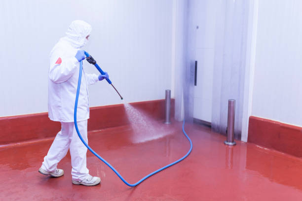 Best Rust Removal  in Coppell, TX